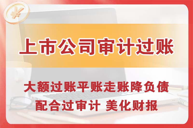 清徐上市公司审计过账
